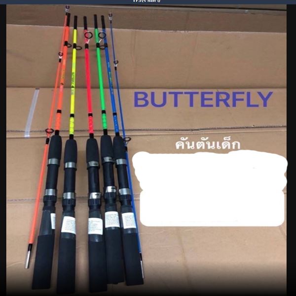 คัน ASHINO (BUTTERFLY) BO 502 5 ฟุต