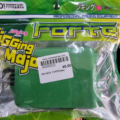 MINI BOX  FORTE