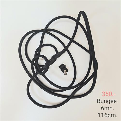 Bungee 6 mm. Back 116 cm.