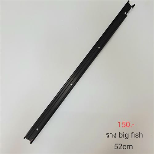 ราง Big Fish 103